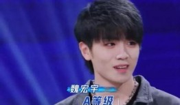 王子直播爆料是真的吗视频,真相揭秘，视频内容真实性分析